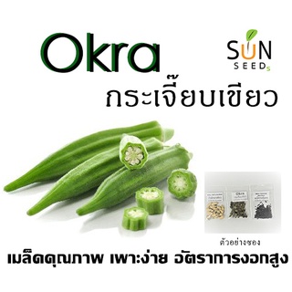 เมล็ดกระเจี๊ยบเขียว 10 บาท 40 เมล็ด เพาะง่าย อัตราการงอกสูง  (ผัก ผักสวนครัว เมล็ดผัก เมล็ดพันธุ์ผัก ผักอินทรีย์  )