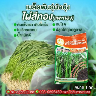 เมล็ดพันธุ์ผักบุ้งจีน ไผ่สีทอง ขนาด 1 กก.