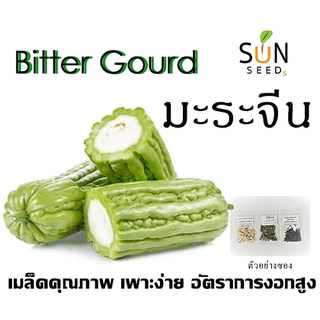 เมล็ดมะระจีน 10 บาท 10 เมล็ด เพาะง่าย อัตราการงอกสูง ผัก เมล็ดผัก เมล็ดพันธุ์ ผักสวนครัว ผักสลัด