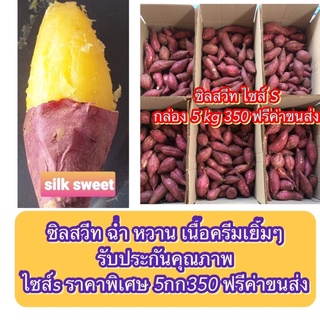 คะ🍠กล่อง5kgซิลสวีทแท้ไซส์sลูกเล็กอบสุกง่ายยกกล่องโปรฟรีค่าขนส่ง