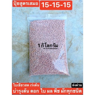 15-15-15 ปุ๋ย สูตรเสมอ บำรุงต้นไม้ให้เขียว แตกใบ แตกยอด 3 วัน ถุง 1 กิโลกรัม และขนาด 500 กรัม
