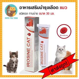 Irosine Cat ไอโรซีน อาหารเสริมแมว วิตามินบำรุงเลือดแมว ป้องกันโรคโลหิตจาง สำหรับแมวทุกวัย (30 กรัม/ชิ้น)