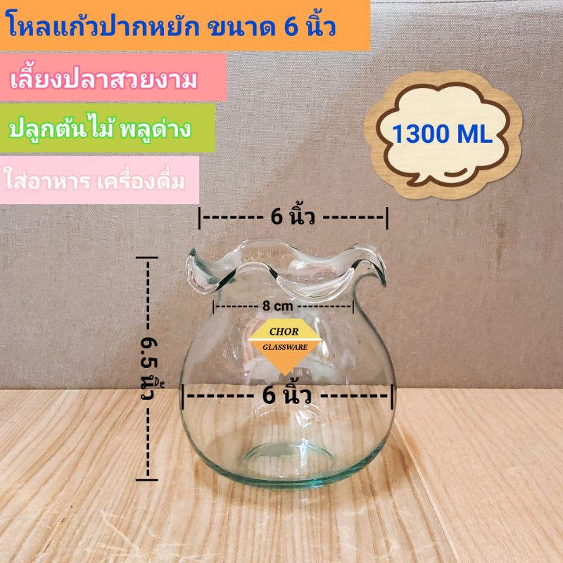 โหลแก้วเลี้ยงปลาปากหยัก ขนาด 6 นิ้ว (พร้อมส่ง 1300 ML) รูปที่ 2