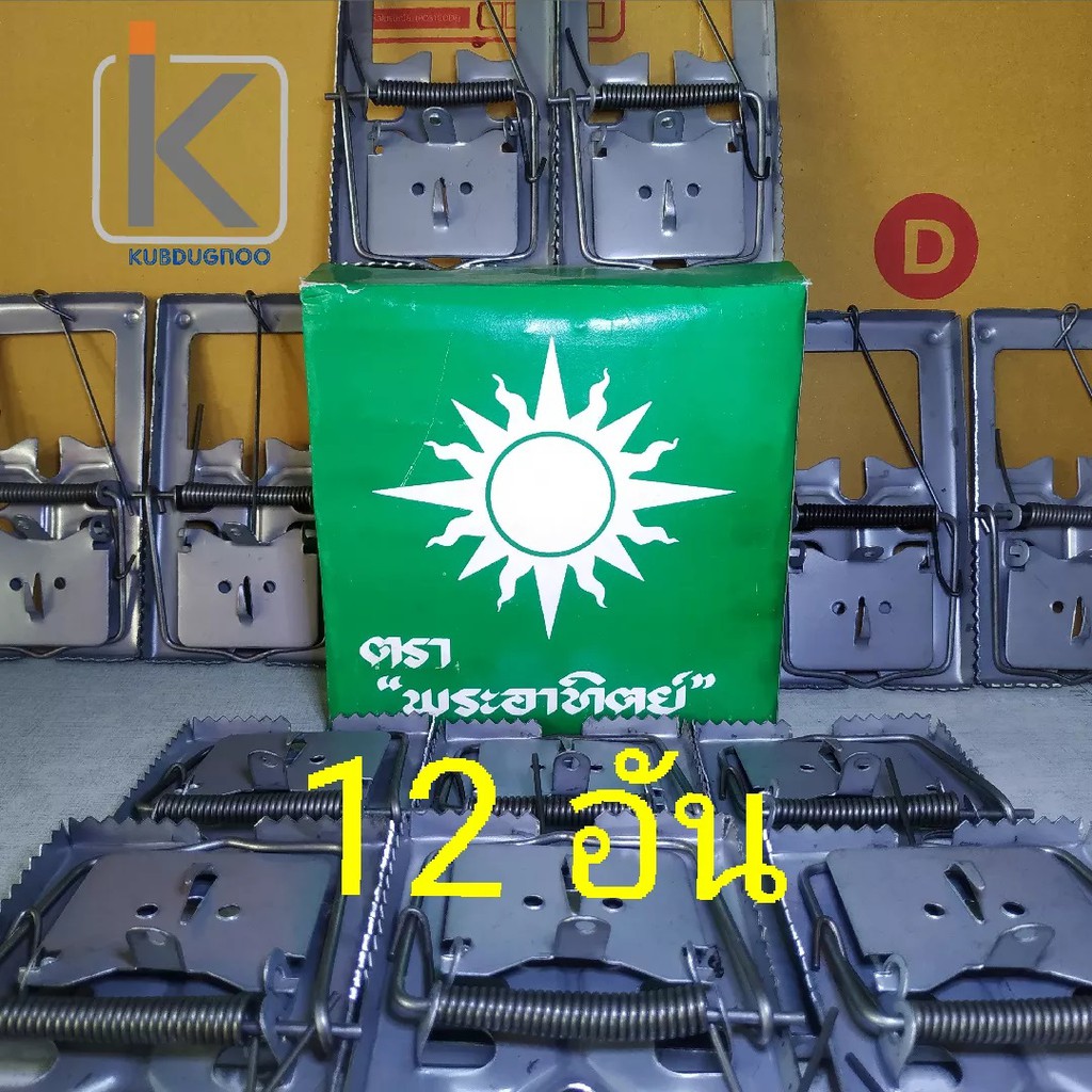 กับดักหนู ตราพระอาทิตย์ 12 อัน