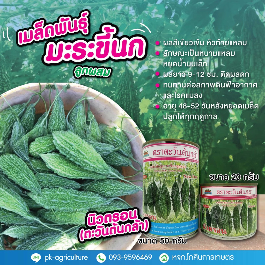 เมล็ดพันธุ์มะระขี้นก นิวตรอน ขนาด 20-50 กรัม
