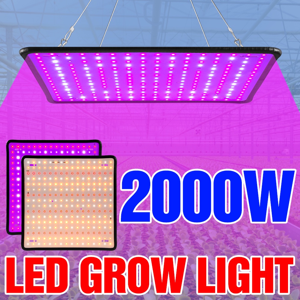 1000w Grow Light Led Full Spectrum โคมไฟ 1500W 2000W Led Plant หลอดไฟเรือนกระจกในร่ม Phyto โคมไฟเติบโตเต็นท์ US EU Plug