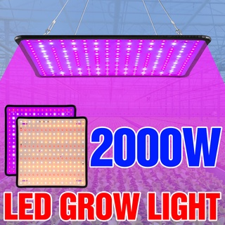 1000W Grow Led Full Spectrum 1500W 2000W Led หลอดไฟเรือนกระจกในร่ม Phyto โคมไฟ grow เต็นท์ US EU UK Plug