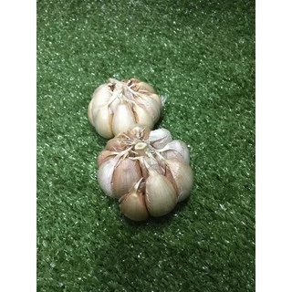 กระเทียมสดหัว/ปอก/กลีบ 🧄 - กระเทียมนอก กะเทียม ผักผลไม้สด