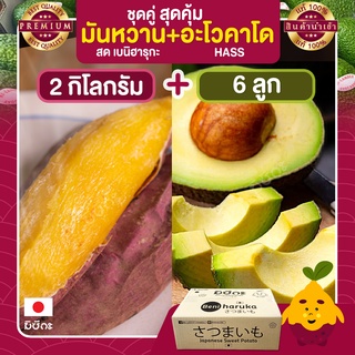 มันหวาน 2 กก. มันหวานญี่ปุ่น + อะโวคาโด 6 ลูก อะโวคาโดสด อะโวคาโด้ อะโวคาโดแฮส Avocado hass อาโวคาโด มันญี่ปุ่น