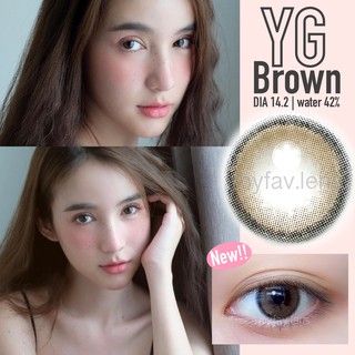 Sweety Contact Lens Yogurt YG Brown สวีทตี้ คอนแทคเลนส์ โยเกิร์ต วายจี สีนำ้ตาล สายตาสั้น 0.00 ถึง -5.00