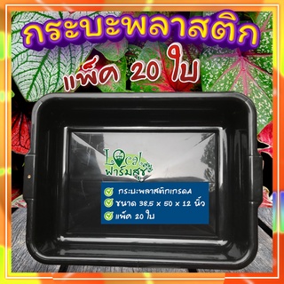 กระบะปลูกผักไฮโดรโปนิกส์ (20 ใบ)🍃กระบะพลาสติกสีดำ กระบะเพาะเมล็ด กระบะทรายแมว กะบะดำ กระบะใส่ของ ใส่น้ำได้