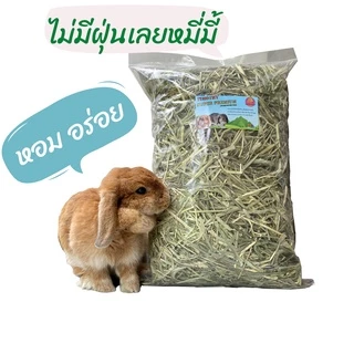 หญ้าทิมโมธีเกรดซุปเปอร์พรีเมี่ยม 400g /1kg ร่อนฝุ่น ดอกเยอะ หอม เขียว หญ้าทิโมธีพรีเมียม 🌱