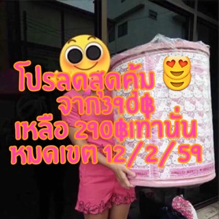 ลดราคาคืนกำไร กระปุกออมสิน 390฿เหลือ 290฿