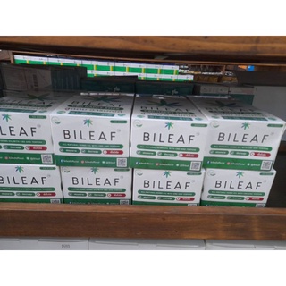 ยาดม BILEAF ไบลีฟออล เนเชอรัล เฮิบออยซีบีดีแอนเทอร์ปิน