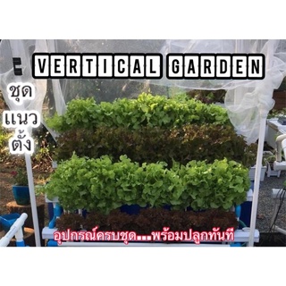 ชุดปลูกผักเเนวตั้ง Vertical Garden 32 ช่องปลูก เเถมเครื่องวัดสารอาหารฟรี สั่งสินค้าเเล้วกรุณารับข้อมูลการจัดส่งทางchat
