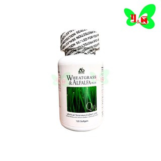 ผักเม็ด Wheatgrass Alfalfa AMSTRONG (1 กระปุก 120 เม็ด)