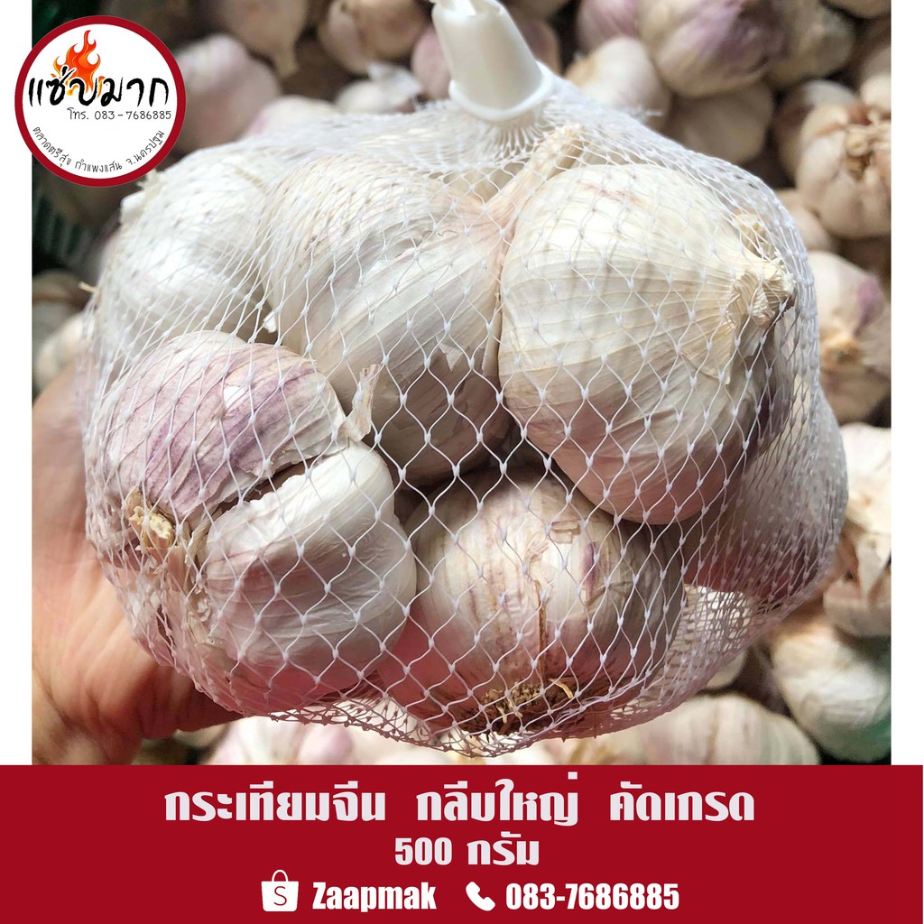 กระเทียมจีน กระเทียมปิงปอง 500 กรัม คัดเกรด คุณภาพดี เนื้อแน่น