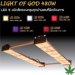 โคมไฟปลูกต้นไม้ 480W LIGHT OF GOD เสริมด้วย LED IR และ UV สำหรับพืชสมุนไพร กัญชง และ กัญชา พืชที่ต้องการแสงมาก