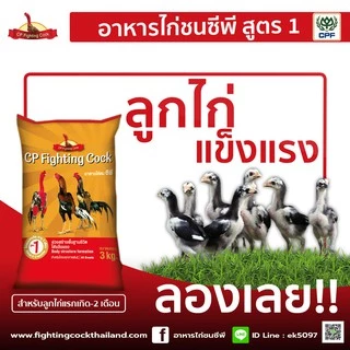ของใหม่ พร้อมส่ง อาหารไก่ชนซีพี อาหารไก่ชนพรีเมี่ยมจาก cp 3kg. CP Cock Fighting (แถมฟาร์มิน 1ซอง)