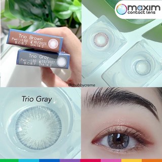 กล่องน้ำเงิน (2) Trio Gray Brown สีเทา สีน้ำตาล เลนส์สี Maxim คอนแทคเลนส์ Contact Lens โทนธรรมชาติ สายตา -12.00 มินิ