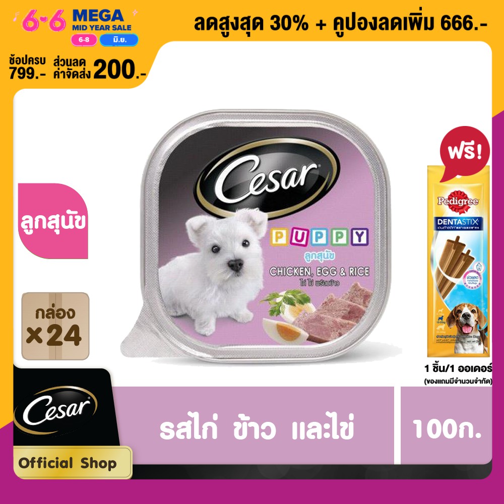 [ส่งฟรี ไม่มีขั้นต่ำ!] CESAR DOG FOOD WET PUPPY CHICKEN RICE & EGG FLAVOUR (1X24) 100 G ซีซาร์ อาหาร
