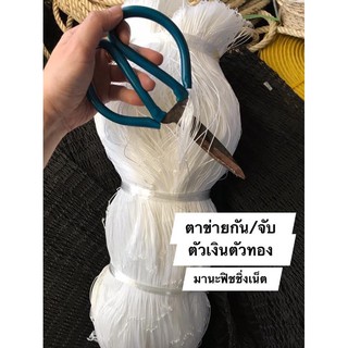 #ตาข่ายดักตัวเงินตัวทอง #ตาข่ายกันตัวเหี้ย #ตาข่ายดักตัวตะกวด ‼️ แก้ปัญหา #ตัวเงินตัวทองเข้าบ้าน