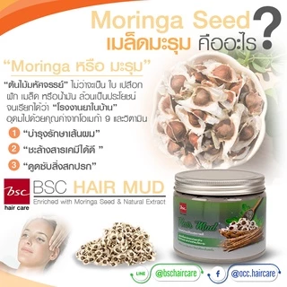 BSC hair care Hair Mud 400g (BECHNMB) โคลนหมักผมสำหรับล้างสารเคมีผม ดีท็อกซ์ & บำรุงในหนึ่งเดียว