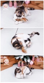 พร้อมส่งจากไทย ไม้ตกแมว ล่อแมว ของเล่น