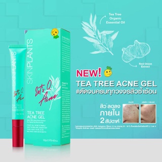 SKINPLANTS Tea Tree Acne Gel 12g เจลแต้มสิวน้ำมันหอมระเหยทีทรี ออร์แกนิคส์ ตัดจบครบทุกวงจรสิว และรอยแผลเป็น