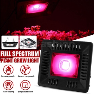 โคมไฟสเปกตรัม LED COB 100W สําหรับปลูกพืชไฮโดรโปนิก