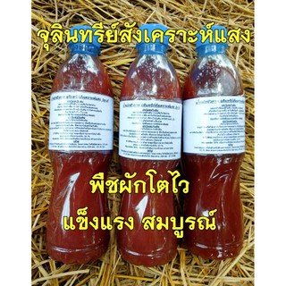 จุลินทรีย์สังเคราะแสง PSB ขนาด 600 ml. (หัวเชื้อ)