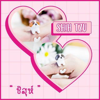 Ring / แหวน : Shih Tzu / ชิสุห์