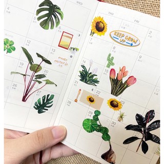 สติกเกอร์ไดคัท ลายSticker Farm แบรนด์Honeymustard.co