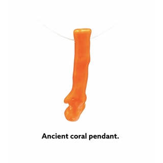 coral pendant จี้ปะการัง