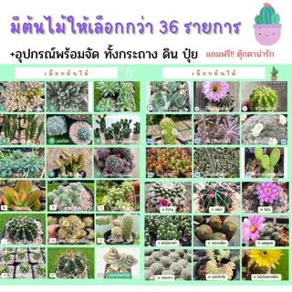 สวนถาด กระบองเพชร แคคตัส cactus garden ชุดจัดสวนถาด อุปกรณ์พร้อมจัดเอง