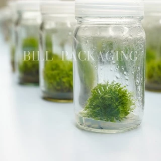 (แพ็ค10ใบ) ขวดเพาะเลี้ยงเนื้อเยื่อพร้อมฝา 120ml.และ 240ml. (Tissue Culture Bottle)(2ขนาด) [รหัสขวด:TG48.TG71]