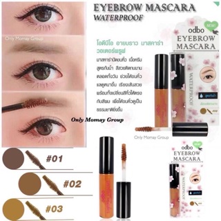 Mascara