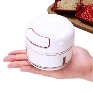 เครื่องปั่นอาหารแบบมือ Mini Food chopper รุ่น Food-blender-00e-J1