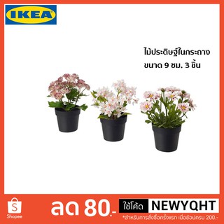 IKEA ไม้ประดิษฐ์พร้อมกระถาง ขนาด 9 ซม. 3 ชิ้น