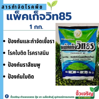 แพ็คเก็จวิท 85 คอปเปอร์ออกซีคลอไรค์ 85% 1กิโลกรัม ป้องกันกำจัด รา ใบติด ราสนิม ใบจุด ราสีชมพู ใบไหม้ แอนแทรคโนส ฟังกูราน