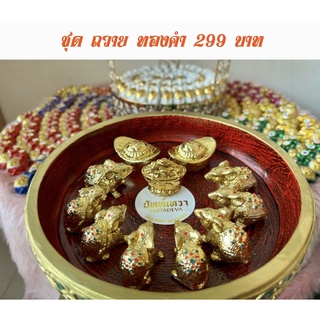 ชุดถวายพระพิฆเนศ เล็ก 299 บาท