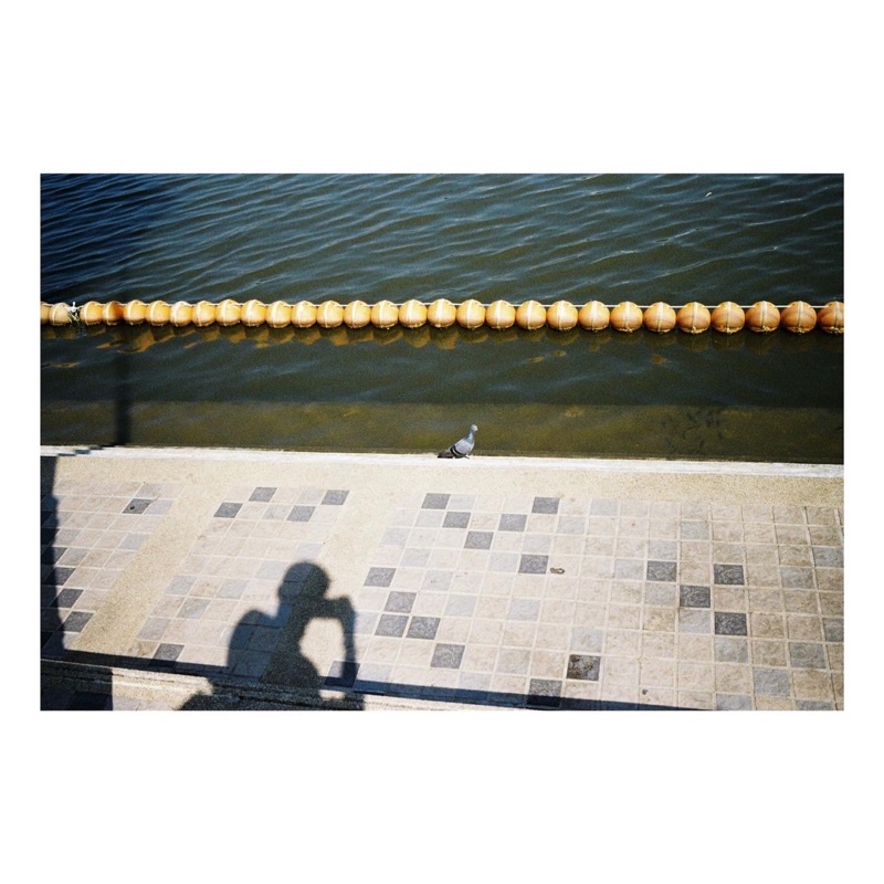 รูปภาพ 2