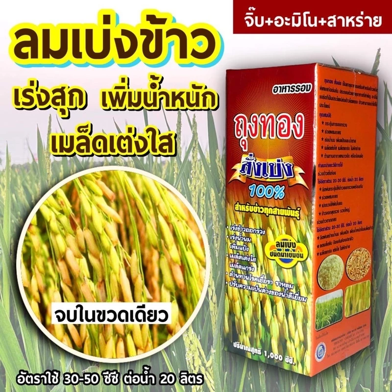 สั่งเบ่ง 1 ลิตร ลมเบ่ง สร้างแป้งข้าวออกเสมอจิ๊บ+อะมิโน+สาหร่าย+ธาตุอาหารรองMg,zn,B,Ca
