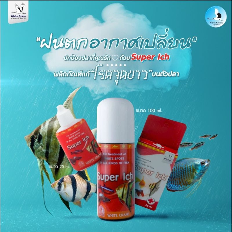 Super Ich ผลิตภัณฑ์สำหรับป้องกันและรักษาโรคจุดขาว เชื้อรา ครีบห่อ 100 ml.