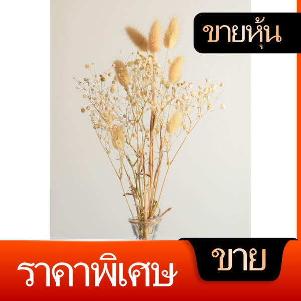 My Image 23