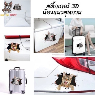 สติกเกอร์ 3D สติกเกอร์ติดผนัง สติกเกอร์ไวนิล รูปแมว ตกแต่งบ้าน/ตู้เย็น/ประตู/ห้องน้ำ/ตู้เสื้อผ้า พร้อมส่งมากกกกก