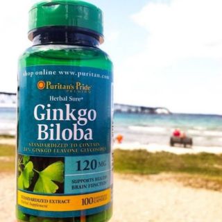 Puritan Ginkgo Biloba 120mg 100 capsules สารสกัดจากใบแป๊ะก๊วยช่วยบำรุงประสาท และความจำ Puritans Pride Ginkgo