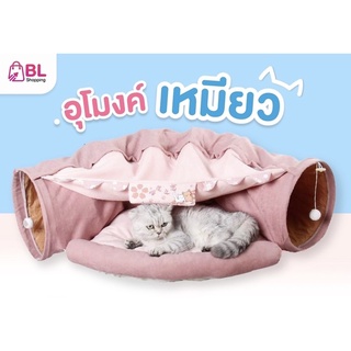 อุโมงค์แมวเหมียว อุโมงค์แมว