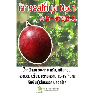 ต้นเสาวรสพันธุ์ไทนุง สายพันธุ์แท้จากไต้หวัน (ต้นเสียบยอด ปลอดโรค) รับประกันตรงตามสายพันธุ์ ไม่กลายพันธุ์ !!!!!!