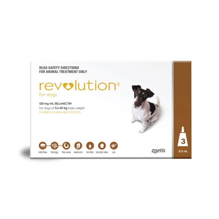 is revolution safe for pregnant dogs